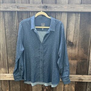 Lysse Sparkle Denim Button Down Top